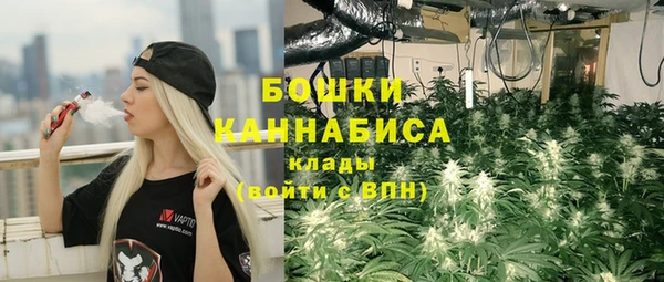 бошки Алзамай