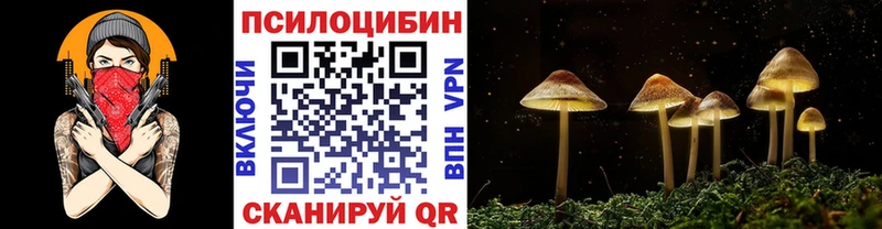 Галлюциногенные грибы Magic Shrooms  купить наркоту  Неман 